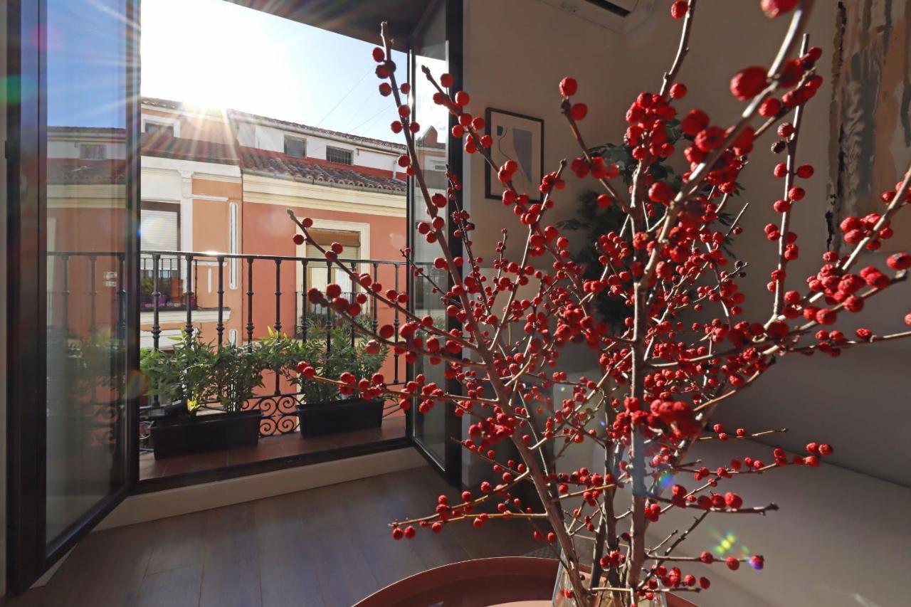 Reina Sofia Boutique Ii Apartment *